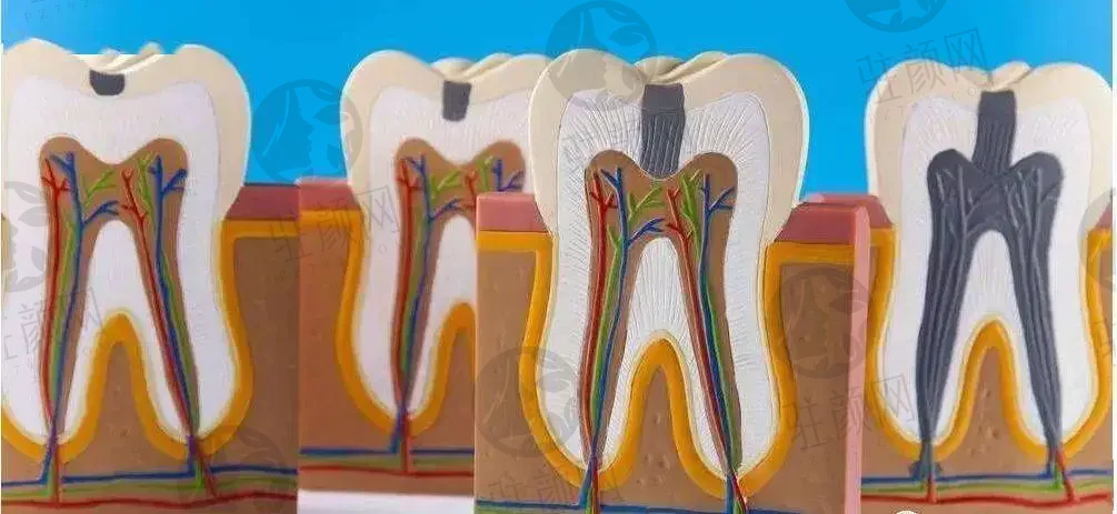 深圳登特口腔门诊部