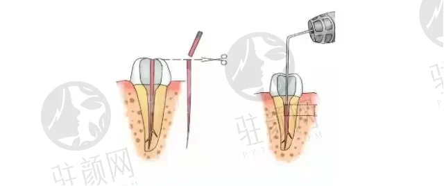 上海佳优口腔门诊部