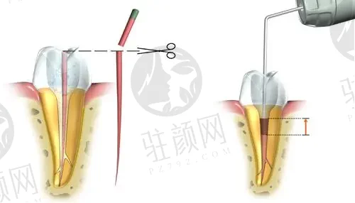 南京溧城金铂利口腔门诊部