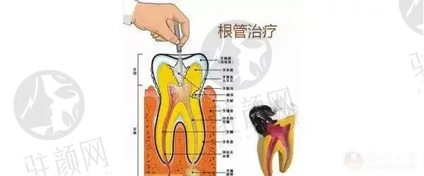 深圳维世达胜凯门诊部口腔科