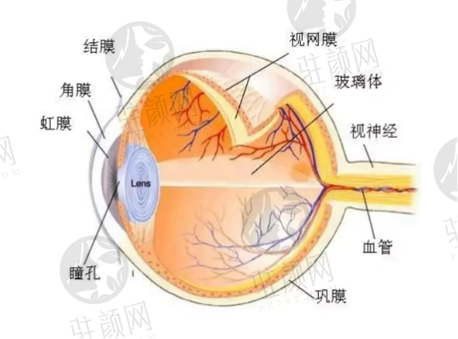 做近视手术为什么选择太学眼科？