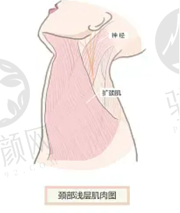 上海九院眼修复哪个专家好？刘菲、张余光等在线，价格表分享