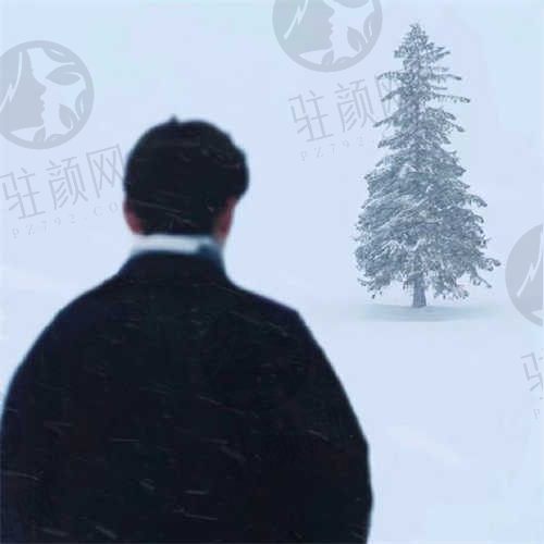 兔兔孤独