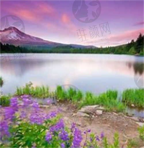 西蓝花