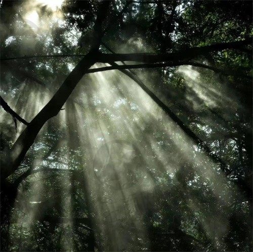 观山河