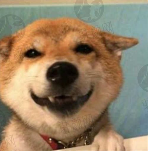 未到