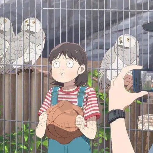 可见