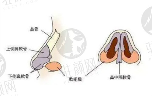 上海王艳医生做鼻子怎么样