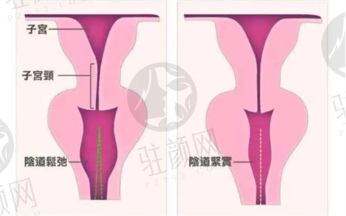 候智慧个人资料