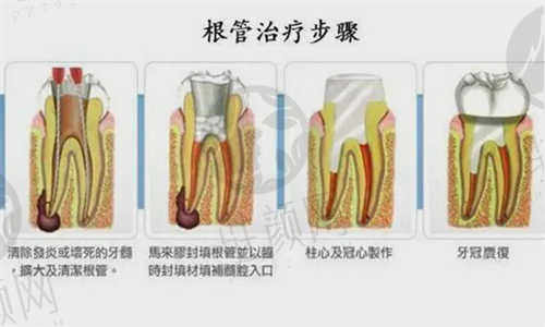 杭州牙科医院未来口腔医院邵进医生