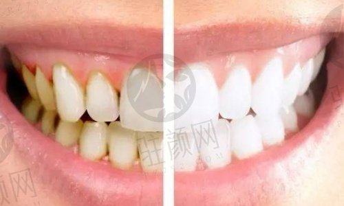 上海英博口腔的医生团队