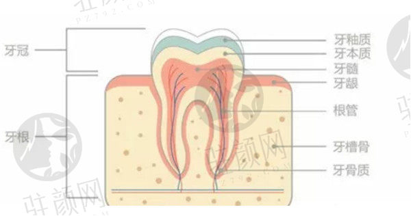 深圳诺德口腔价格