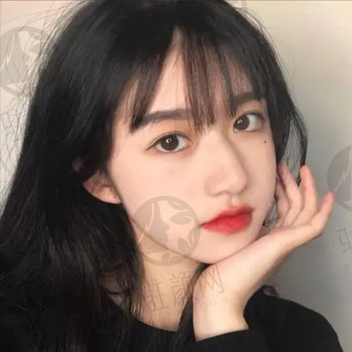 校对小飞机