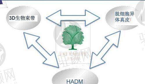 刘中策医生：内窥镜隆胸倡导者
