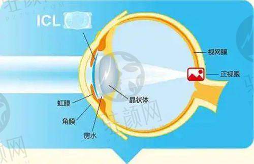 资质正规，荣誉众多