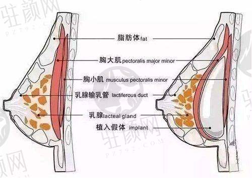 医院环境舒适宜人
